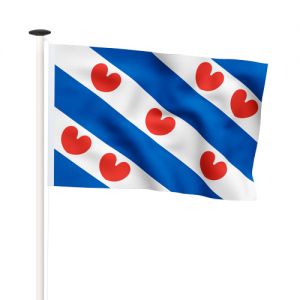 NR 708: Bootvlag Friesland 70x100cm premium