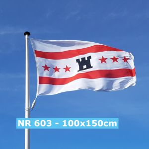 NR 603: Drenthe 100x150cm standaard