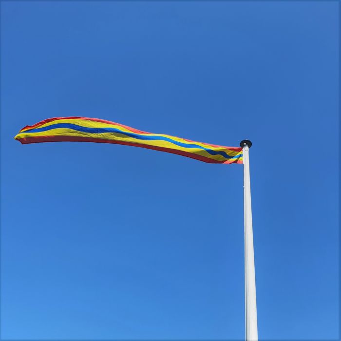 Pixelforma Vlag Saarland in verschillende maten 100% polyester bedrukt