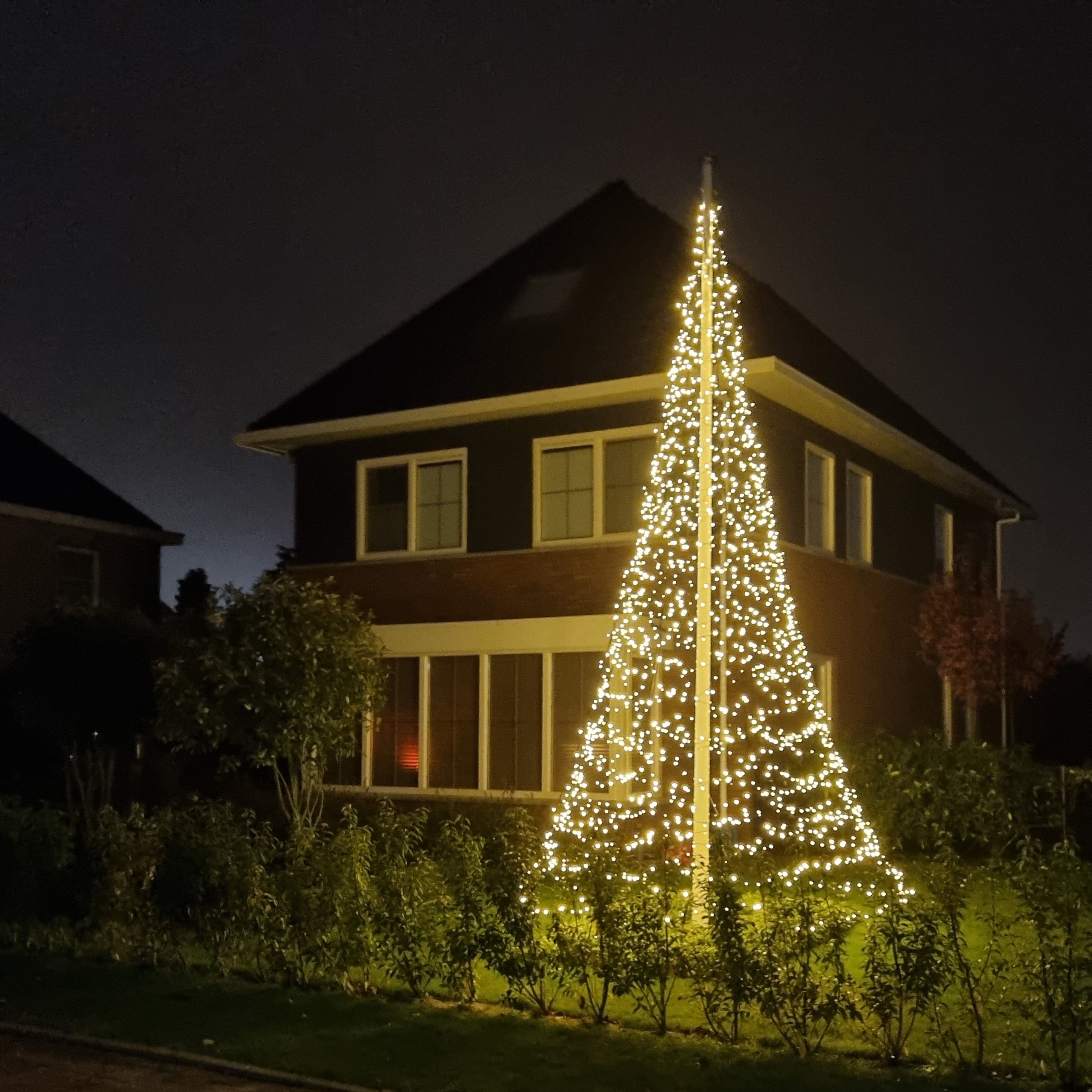 Hoe zien de verschillende soorten Fairybells eruit?