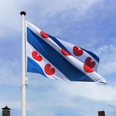 De Friese vlag: meer dan alleen pompeblêden en trots