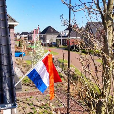 Koningsdag komt eraan: hoe was het vlaggenprotocol ook al weer?