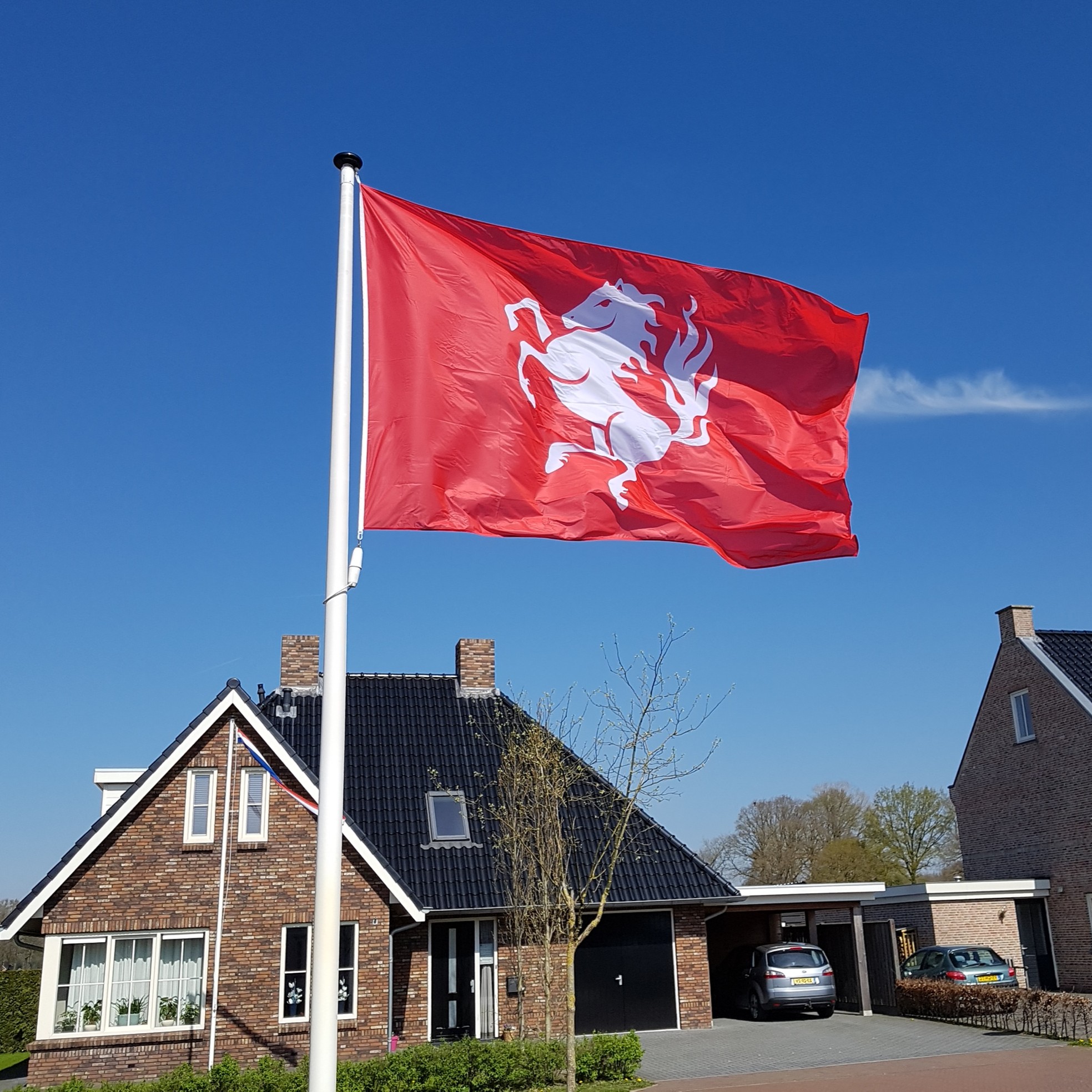 Het Twentse Ros: betekenis van de vlag van Twente