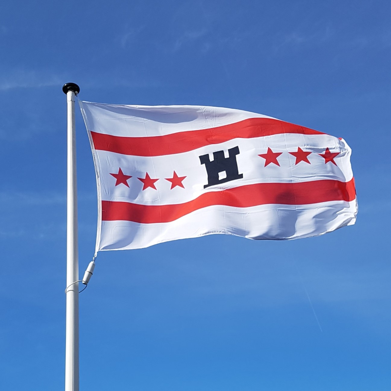 De vlag van de provincie Drenthe