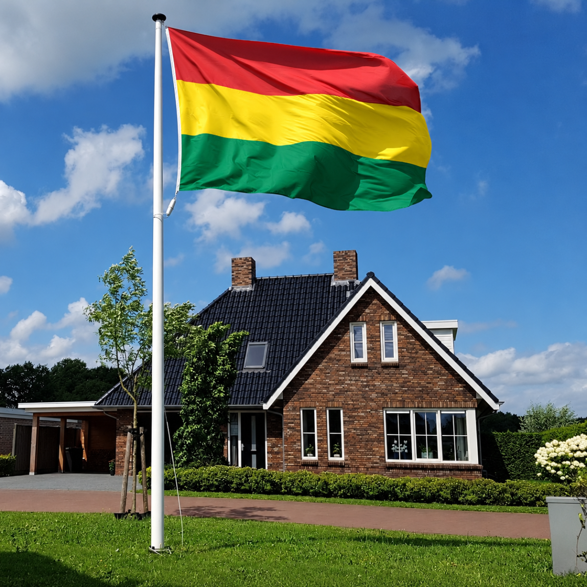 Carnavalsvlag van 150x225 cm aan een vlaggenmast van 6 meter Carnavalsvlag van 150x225 cm aan een vlaggenmast van 6 meter