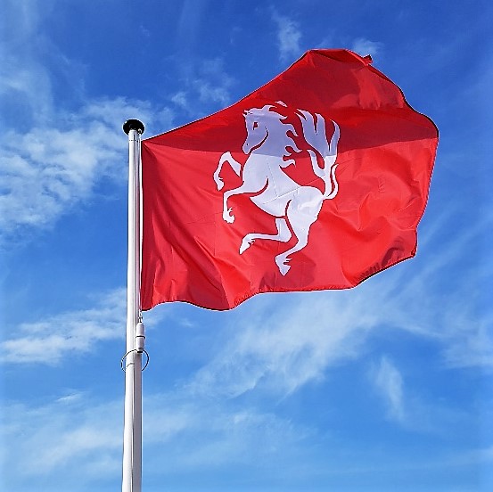 Vlag van Twente met wit Twentse Ros op rood in een vlaggenmast Vlag van Twente met wit Twentse Ros op rood in een vlaggenmast